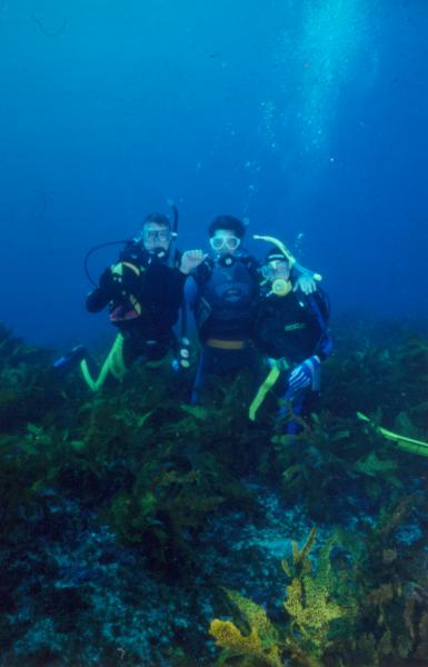 gal/Scuba_Diving/south_maroubra_sharks/AJ Russ Greta.jpg